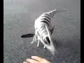 the roboraptor the roboraptor