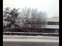 noverasco nevicata