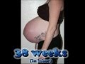 Growing Twin Pregnancy Belly!