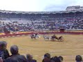 corrida goyesca palencia