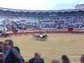 corrida goyesca palencia