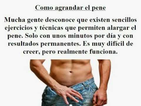 Las esponjas aumentadas del miembro