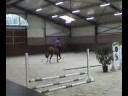 Toppers te paard - 07-07-2008 -G.J.\ Toppers te paard - 07-07-2008 -G.J.\