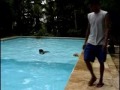 Perfect Resort - Recrea��o na Piscina