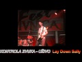 Kontrola zvuka - Lay Down Sally - LIVE