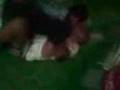 videos de Nuno vs JUnior no JIu jitso