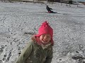 jodie kneeboarding in the snow behind landrover
