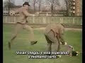 monty python   idiota de classe alta do ano upperclass twit