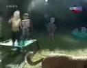 Kindemjeckass kids