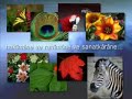 Risale-i Nur K�lliyat?ndan Ayet\