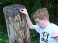 Story About Bark And A Snake