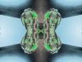 Amphetamines: the downer on uppers