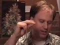 the house of glass as read by hairy pothead author dana larsen.

visit hairy pothead & the marijuana stone
http://www.hairypothead.net