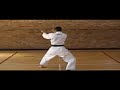 Heian Yondan Shotokan kata
