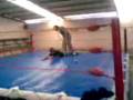videos de WPX Evento: ¡¡IN YOUR FACE!! ELIMINACION EXTREMA (DEIKO VS CRAZYROCK VS BIG BULL VS EL LINCE) Parte 2/2