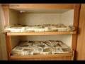 videos de Springdale 2008 RV Trailer Sale