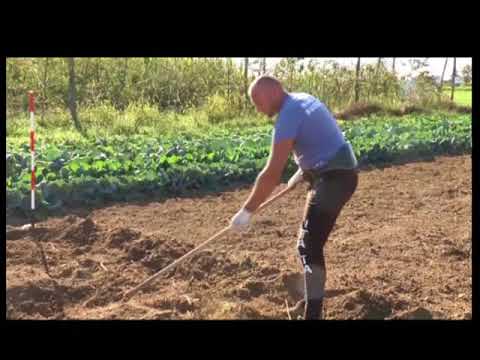 RECORD DEL MONDO DI VANGATURA A MANO