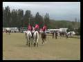 Windsor Polo Club