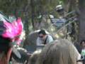 Hallucinogen in Dub- Symbiosis Gathering 2007