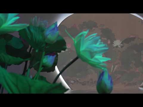 【生態想想－故宮x蘭博x臺博聯合大展】宣傳片