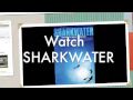 Shark & Marine conservation