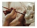 Portrait Drawing with Gary Geraths (Otis College)