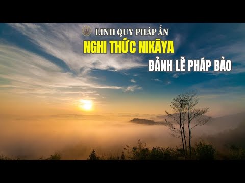 NIKAYA Giảng Giải - Bất Hạnh Thay Tuổi Già - Đáng Sợ Thay Cuộc Sống - Kinh Già - Tương Ưng V *