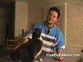 Des chats qui parlent? Des chats qui parlent?