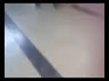 Allah o Akbar in the Cafeteria in Science and Technology University in Tehran