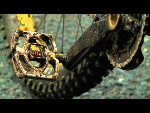 chain reaction cycles
