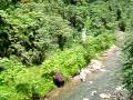 videos de More zip lining