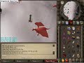 ZDR Pking 6