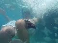Leckys in Bermuda-underwater 4