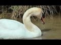 Pont de Gau Ornithological Park - Visiting Park, Part 2 ...
