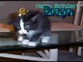 imsucks birthday movie