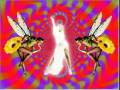 videos de Living It Slow [video version 2]