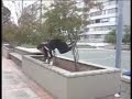 Parkour Bogota  Zanto    Profile Vol.1 2007