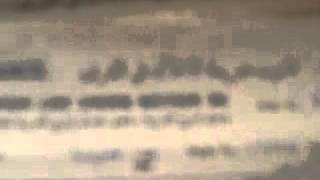 5- مقابلة تاريخ شفوي للنكبة الفلسطينية مع غالب عيد عيد يعقوب من خربة لد العوادين - حيفا المحتلة