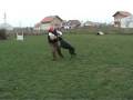videos de Dobermann in IPO-1 protection - Kyron v. Noblesshof