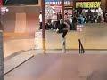 Stefan Janoski Tampa Pro \