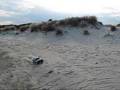 Traxxas Slash Sand Fun !
