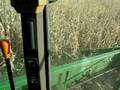 Corn Harvest Brewster Style Bigger and Better 08