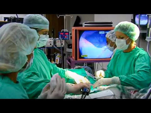 Veterinary video endoscope used on Tiger - Vets in the Wild West - BBC - YouTube