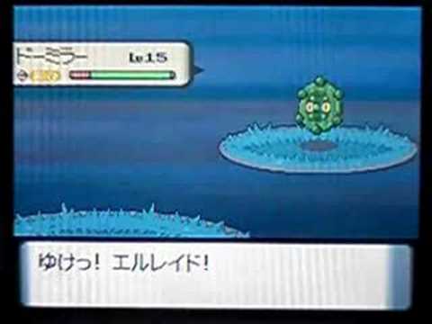 【ポケトレ連鎖(2)】色違いドーミラー出現[shiny Bronzor] ポケットモンスター ダイヤモンド パール　pokemon diamond&pearl