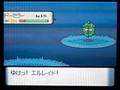 【ポケトレ連鎖(2)】色違いドーミラー出現[shiny Bronzor]
