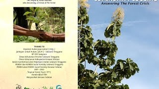 Community Logging Answering The Forest Crisis