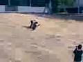 videos de cHeMa_eStÚpIdO eN aCCiOn