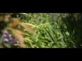 Kiwi35 Spinning Adapter Test Footage