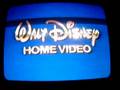 videos de Gold Walt Disney Home Video (Spirit Of Mickey)