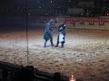 Green Knight wins it all Green Knight wins it all